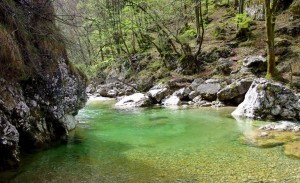 Reka Iška spomladi 2014. Foto: J. Ušeničnik