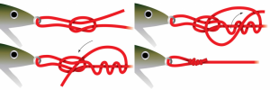 http://wired2fish.scout.com/story/1468379-how-to-tie-the-rapala-loop-knot