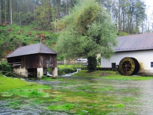 TMS - en od izvirov Bistre