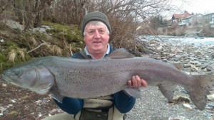 huchen-fluss-straza-sava-laibah-slovenia-14-1-2015