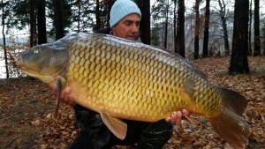 carp-lake-smartinsko-2015-slovenia-carp-fishing-licence-online