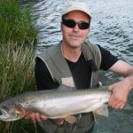 rainbow-trout-sava-radovljica-fly-fishing