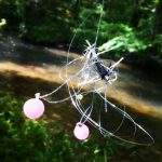 fly-fishing-birds-nest