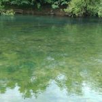 river-ljubljanica-gin-clear-water