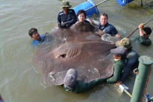 Foto: Ocean Mysteries with Jeff Corwin / Litton Entertainment