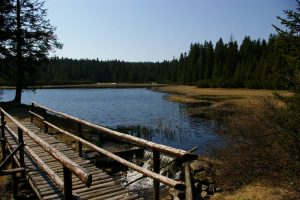 Črno jezero