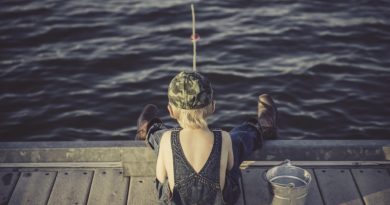 KVIZ: preveri svoje znanje ribolova in ribištva