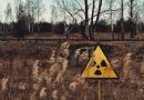 Resnica o Rdečem gozdu v Černobilu