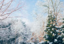 Preveri debelino snežne odeje po Sloveniji